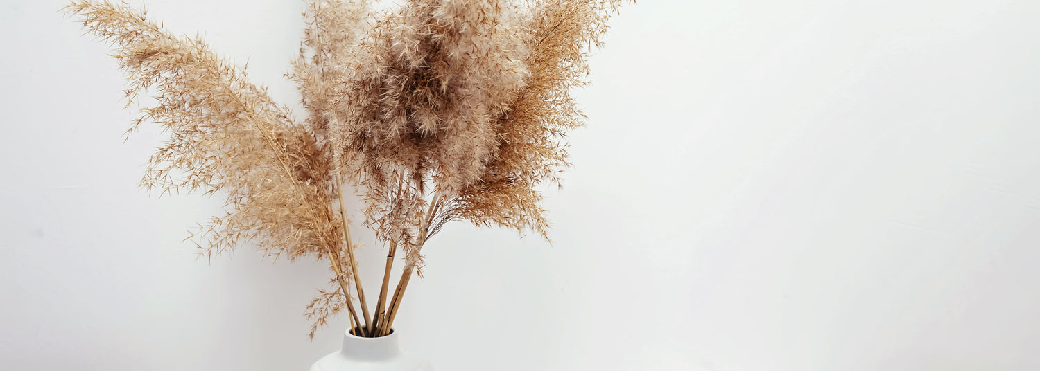 Frühling zuhause – So bringst du frische Farben & Leichtigkeit in deine Räume - AMBIENDO