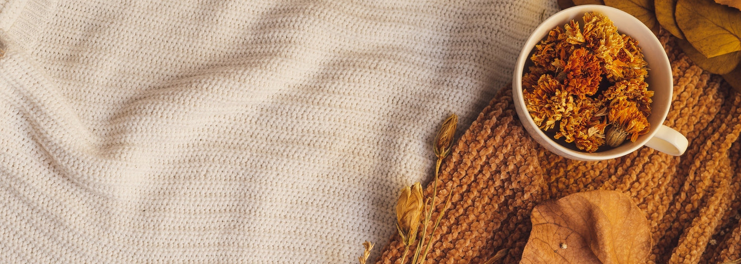 Herbstliche Wohlfühlzeit - so machst du dein Zuhause und deinen Garten fit für die kühlere Jahreszeit