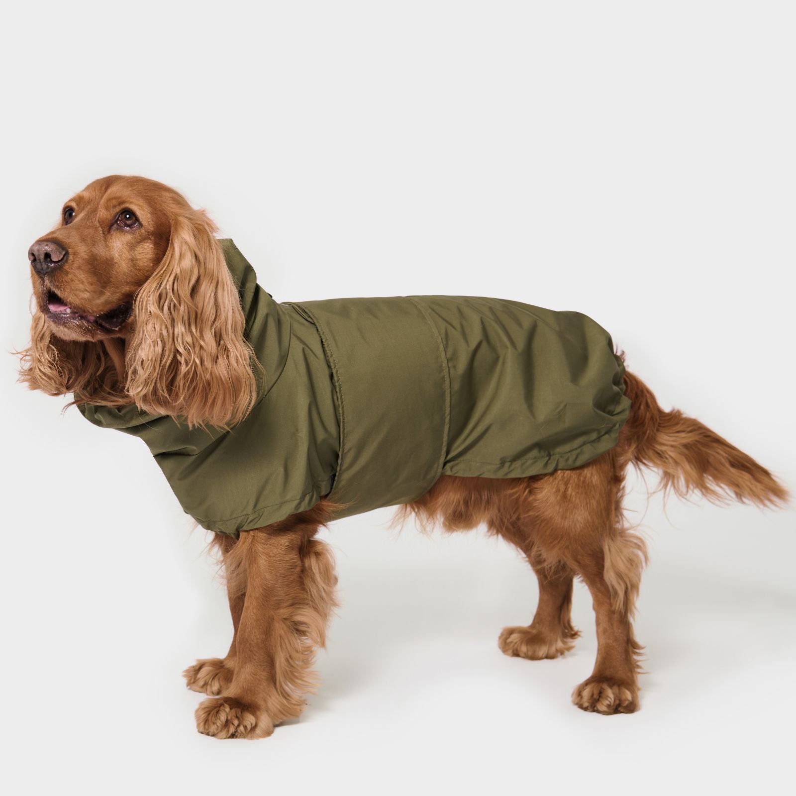 Hunderegenmantel OSKAR Olive