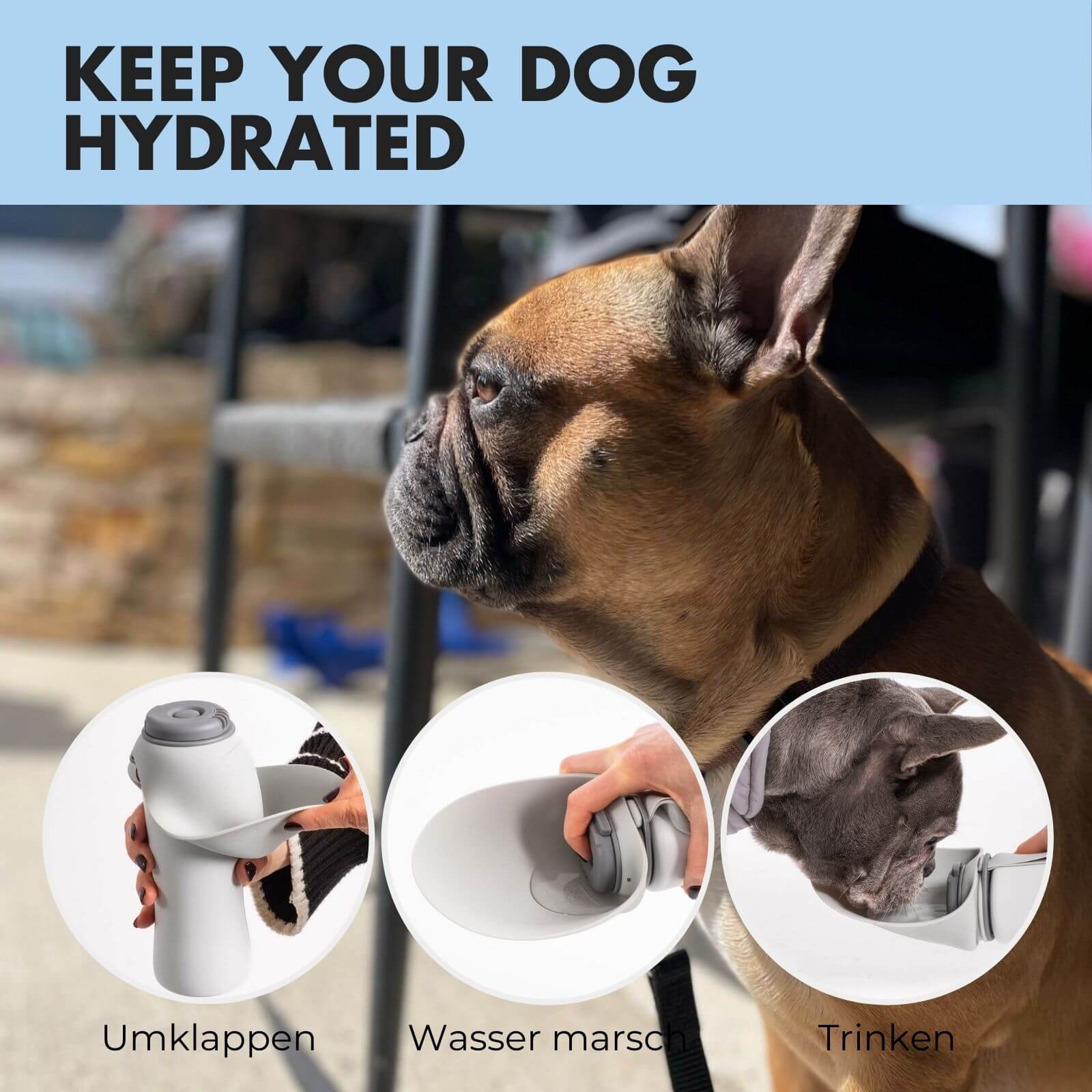 Trinkflasche für Hunde PAULA 500ml