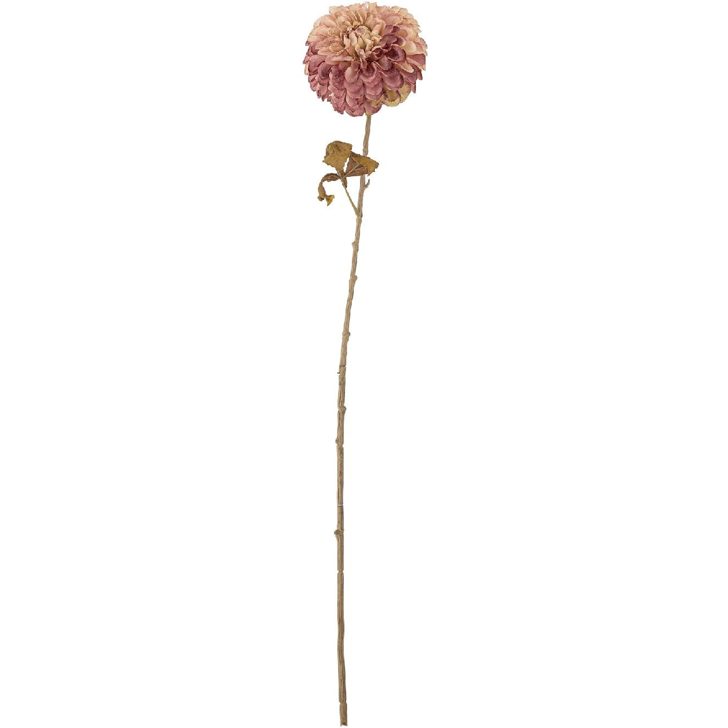 526950