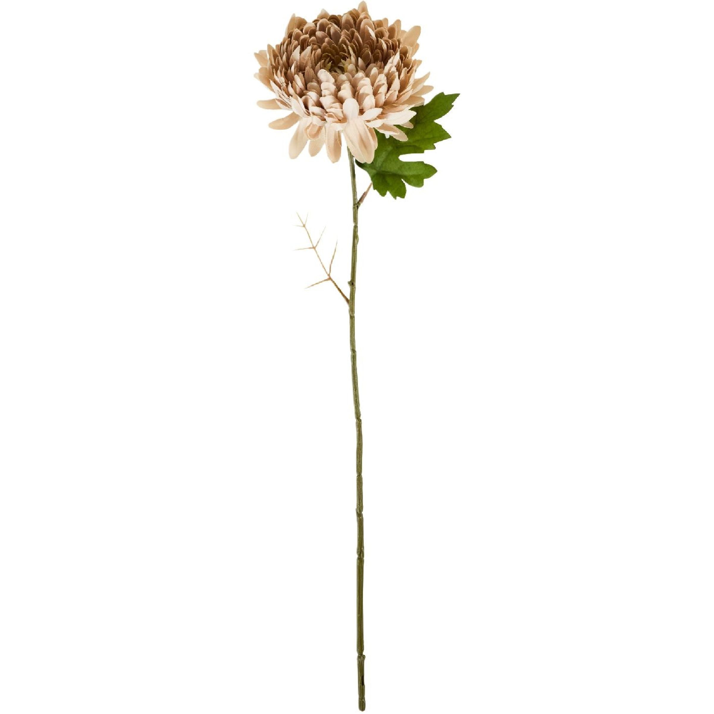 537873