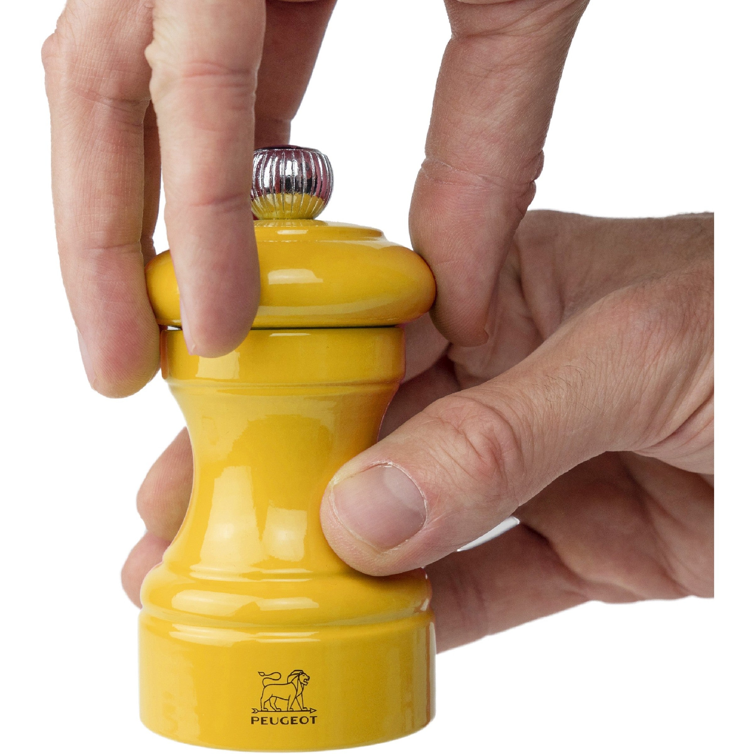 Moulin à sel Peugeot Bistrorama