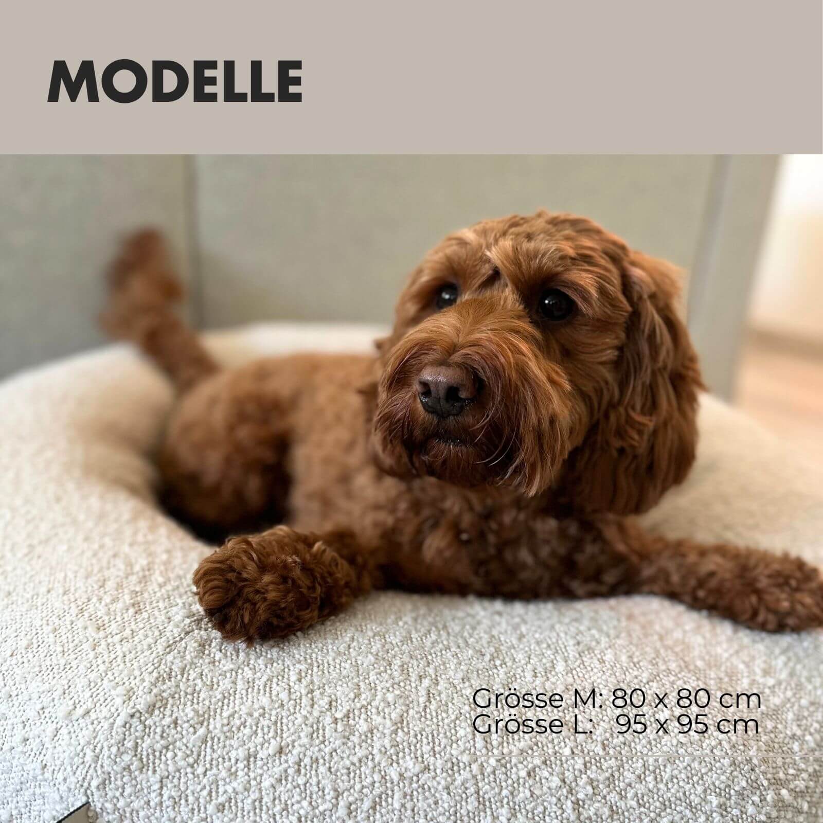 Hundebett LENI Bouclé Beige