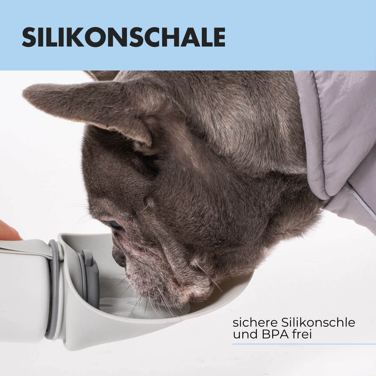 Trinkflasche für Hunde PAULA 500ml