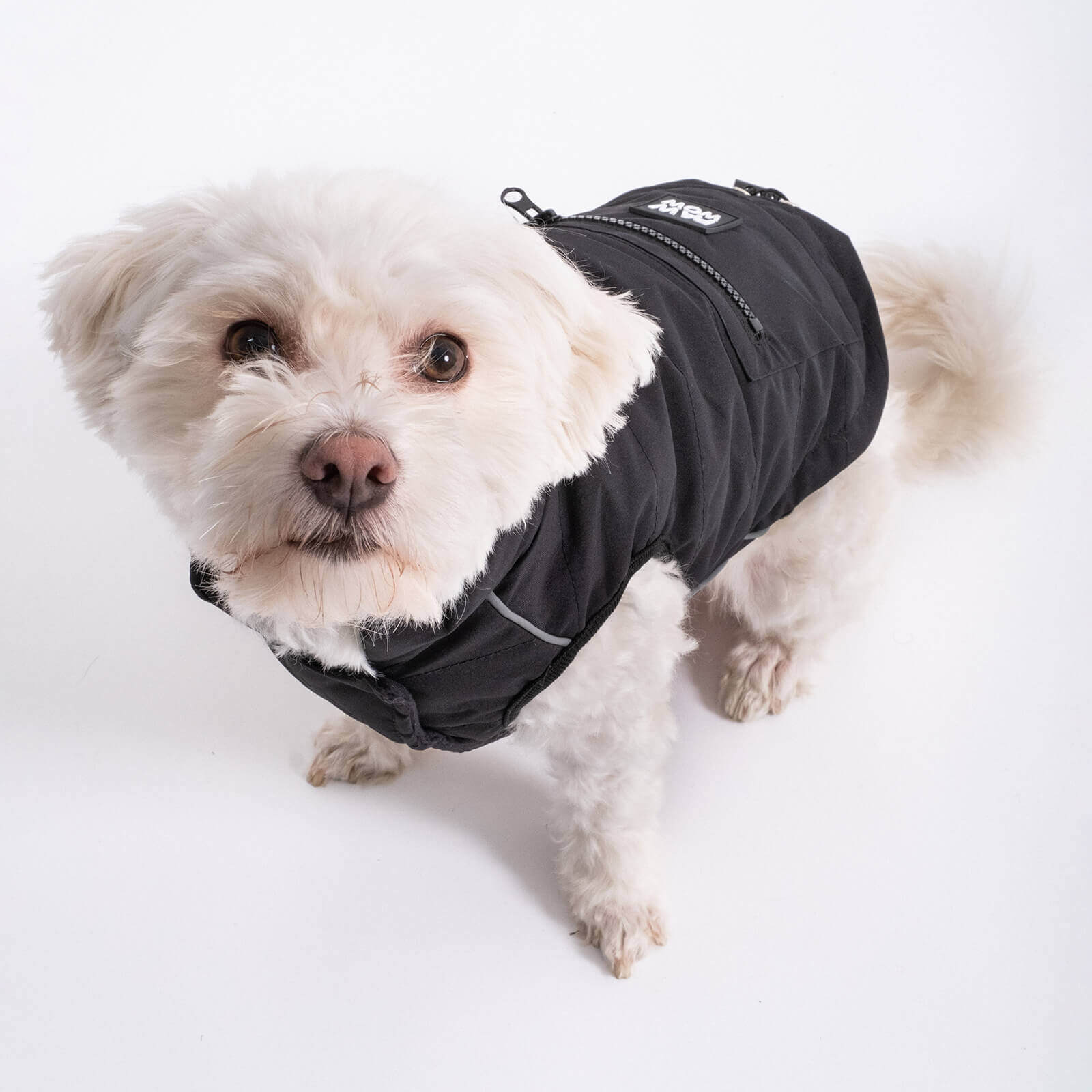 Hundejacke TONI Schwarz